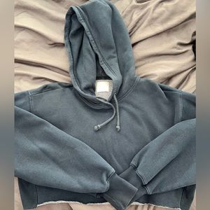 Aritzia TNA Cropped Raw Hem Hoodie